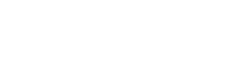 The Skin Room